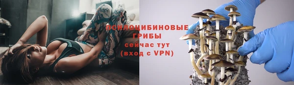 эйфоретик Сосновый Бор