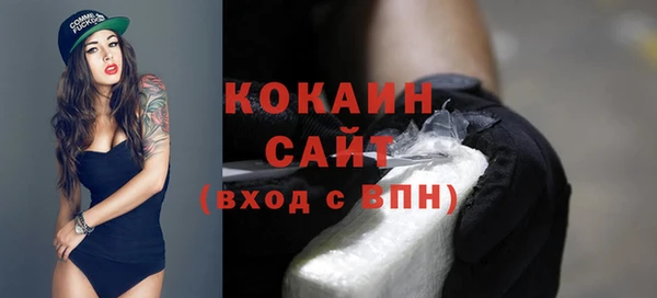 mdpv Богородск