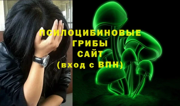 гидропоника Слюдянка