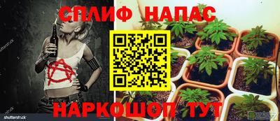 ECSTASY Гусев