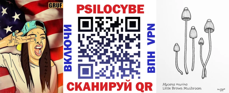 Псилоцибиновые грибы мухоморы  Фрязино 