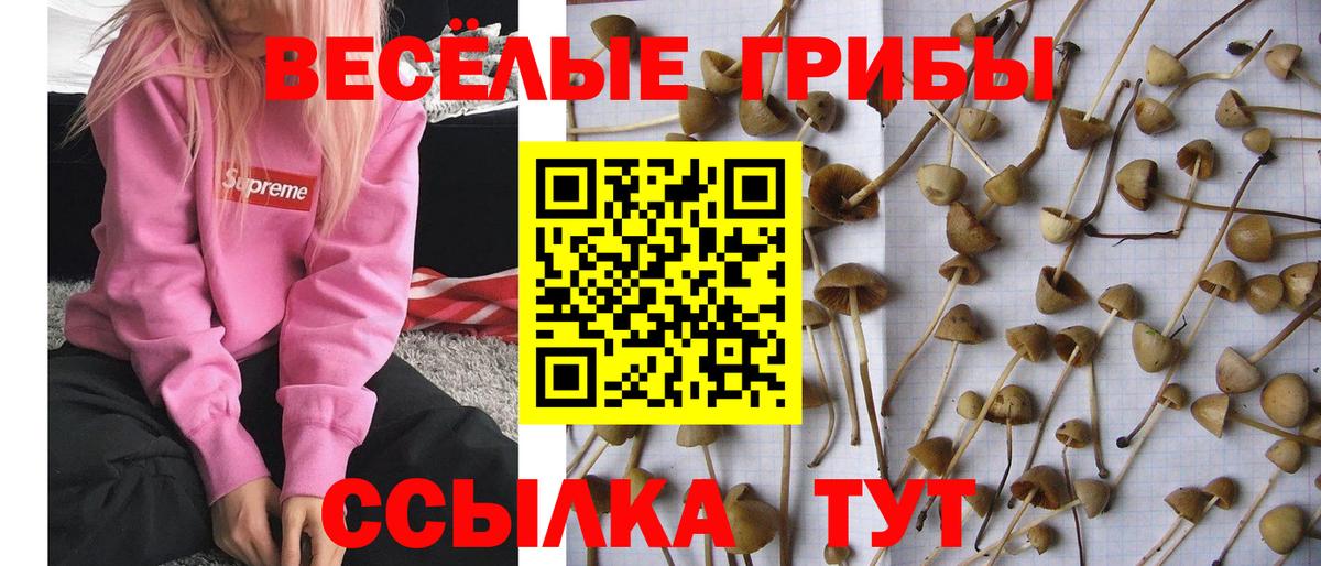 АМФЕТАМИН Фрязино