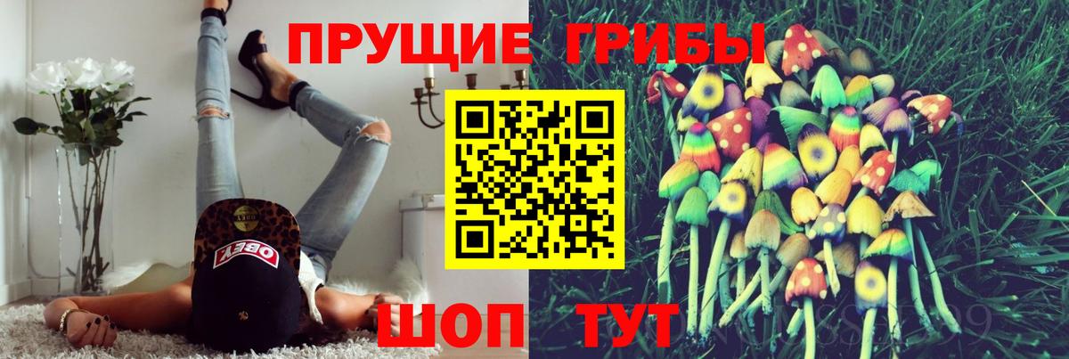 Фрязино  Псилоцибиновые грибы Psilocybe  Вход с VPN 