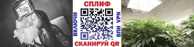 Каннабис сатива  hydra ссылка  Фрязино 